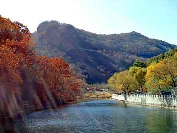 新澳天天开奖资料大全旅游团，宝马1系论坛